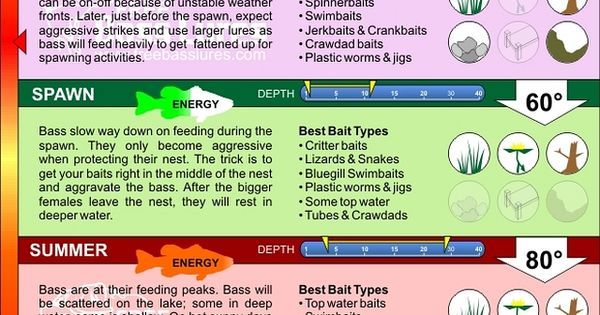 LureShield's tweet photo. Just Pinned to Fishing Tips &amp; Tricks: Seasonal Fishing Cheat Sheet https://t.co/862XA43DPC https://t.co/MK5Zu4pnhm
