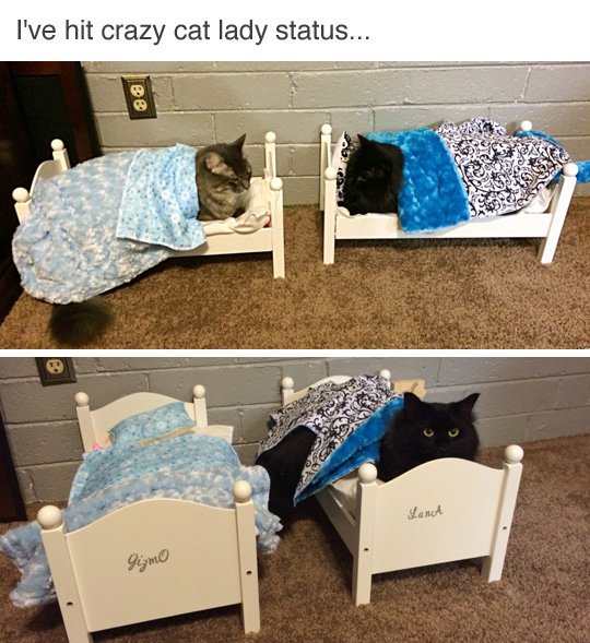 WarmingCuteness's tweet photo. Totally doing this: https://t.co/GOmopRn7kY