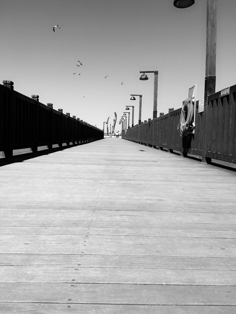 바람좀 쐬러 삽교호 갔다가 날아갈뻔 ㅋㅋ