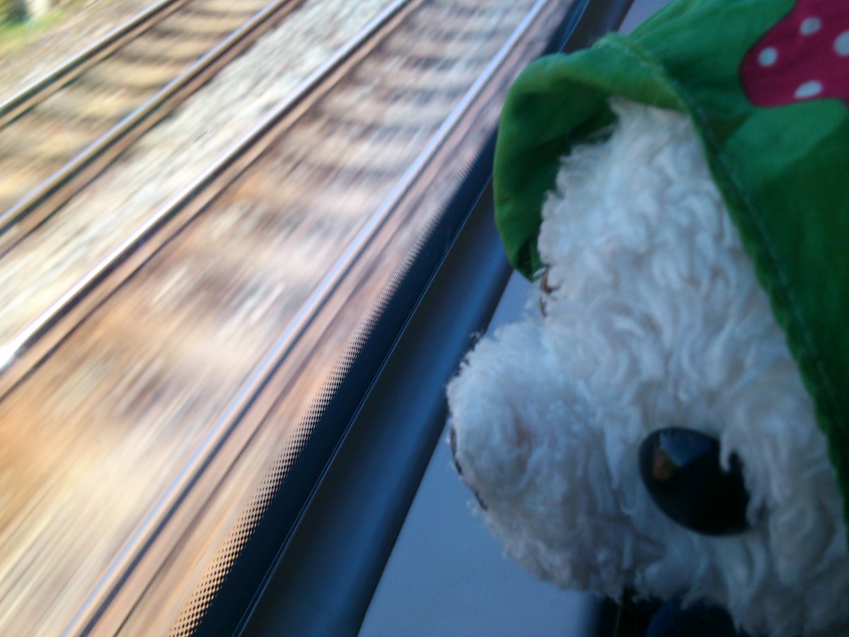 örk...
     google translate: Ein bisschen einschüchternd ist alles...
     Reise zur #kuk #kif440