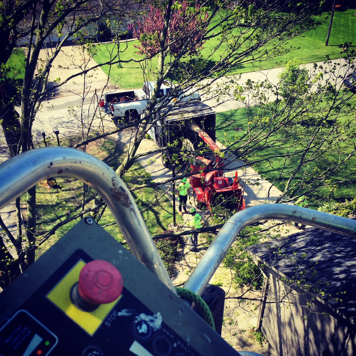 J_ustin_S_mith's tweet photo. Xtreme Tree Service students finishing a technical rigging job today! #crossingjtp https://t.co/OCfosAwR8e