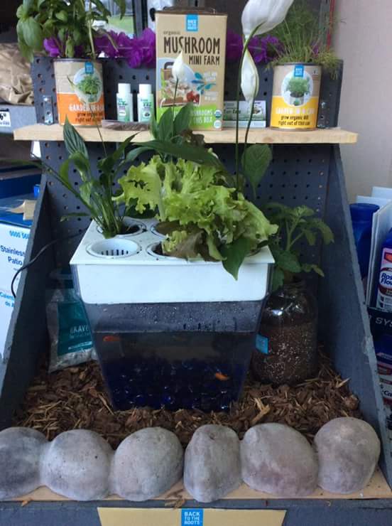 kathy medina tweet media