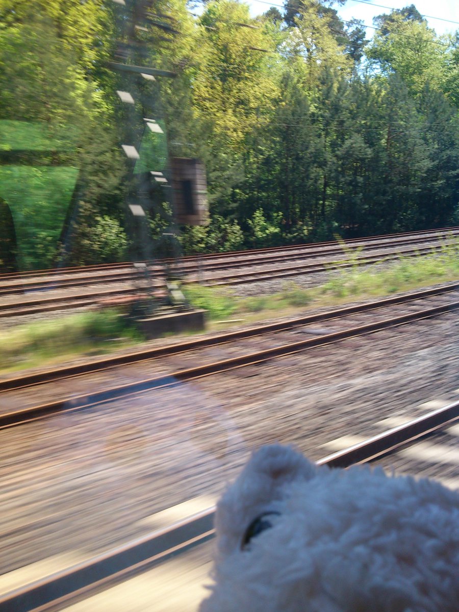 WAU!
     google translate: FAST DA! (#kuk #kif440)