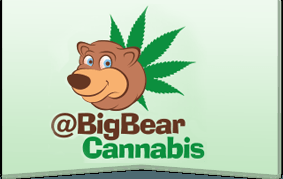 BigBearCannabis's tweet photo. Quick and easy to understand #infographic - Beginners Guide to Growing Cannabis https://t.co/OLsRihBVzq

#homegrown https://t.co/nyr1Qm4OL9