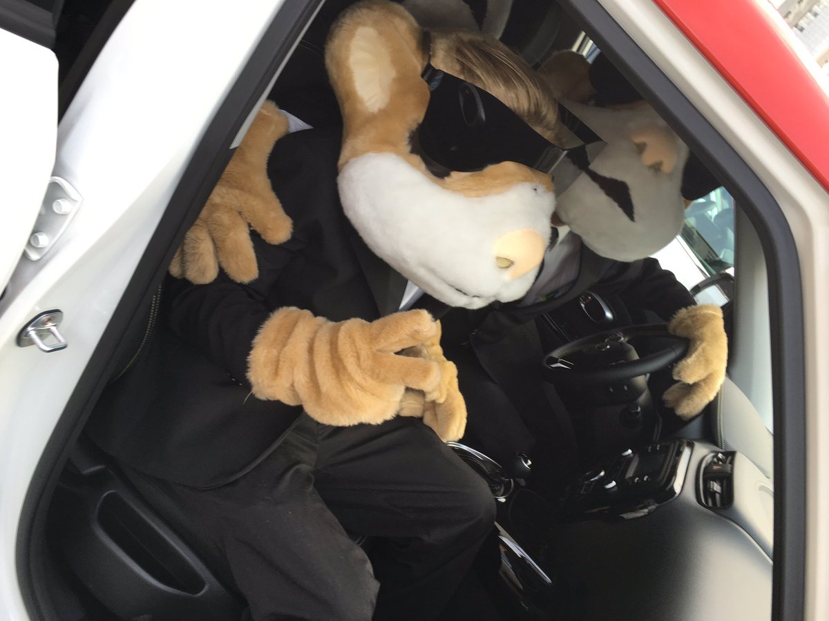 KIASantaFeMx's tweet photo. #KiaSoul lleva la fiesta por dentro...y por fuera! Ven y conócelo en #KiaSantafe https://t.co/hx7Jnk35PA
