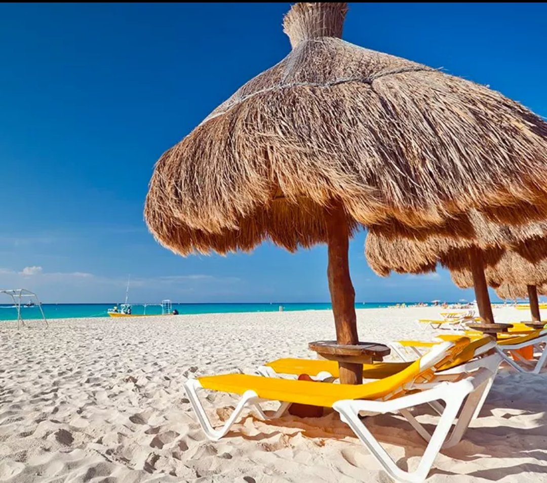 Alice in Wonderland tweet media