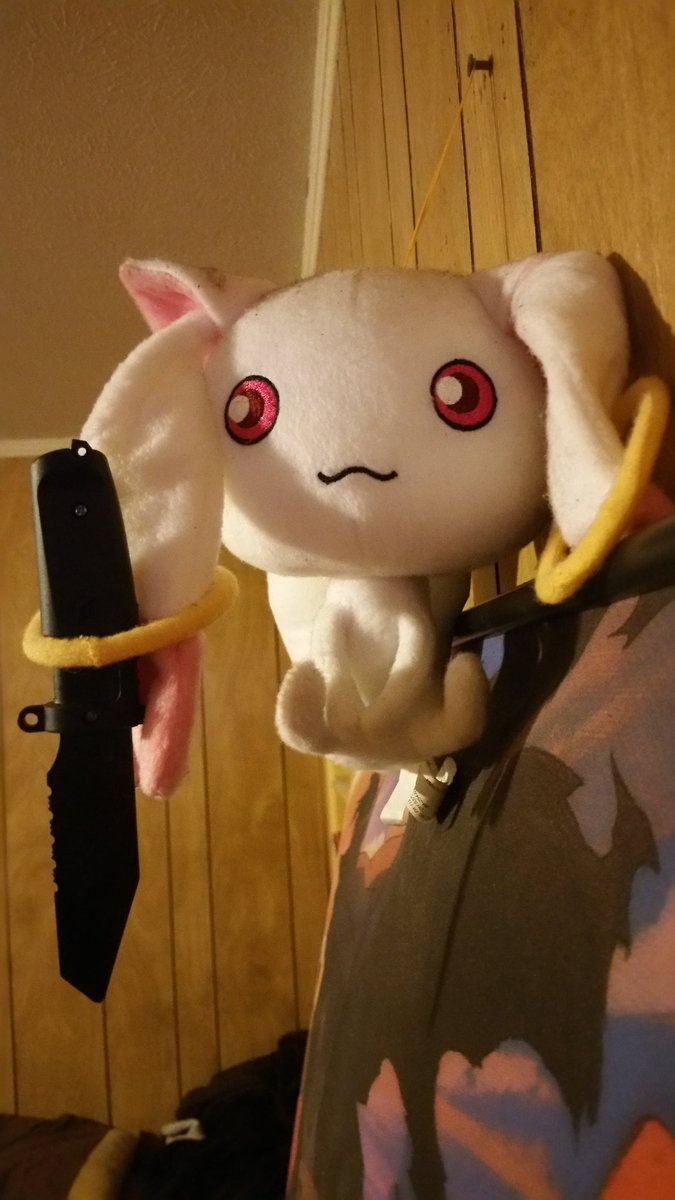 AllHailTheEgg's tweet photo. @2BFLiam @Smoldelicious woke up this morning to find my Kyubei plush armed...#AdorableEvil https://t.co/zjTltgA0Ue