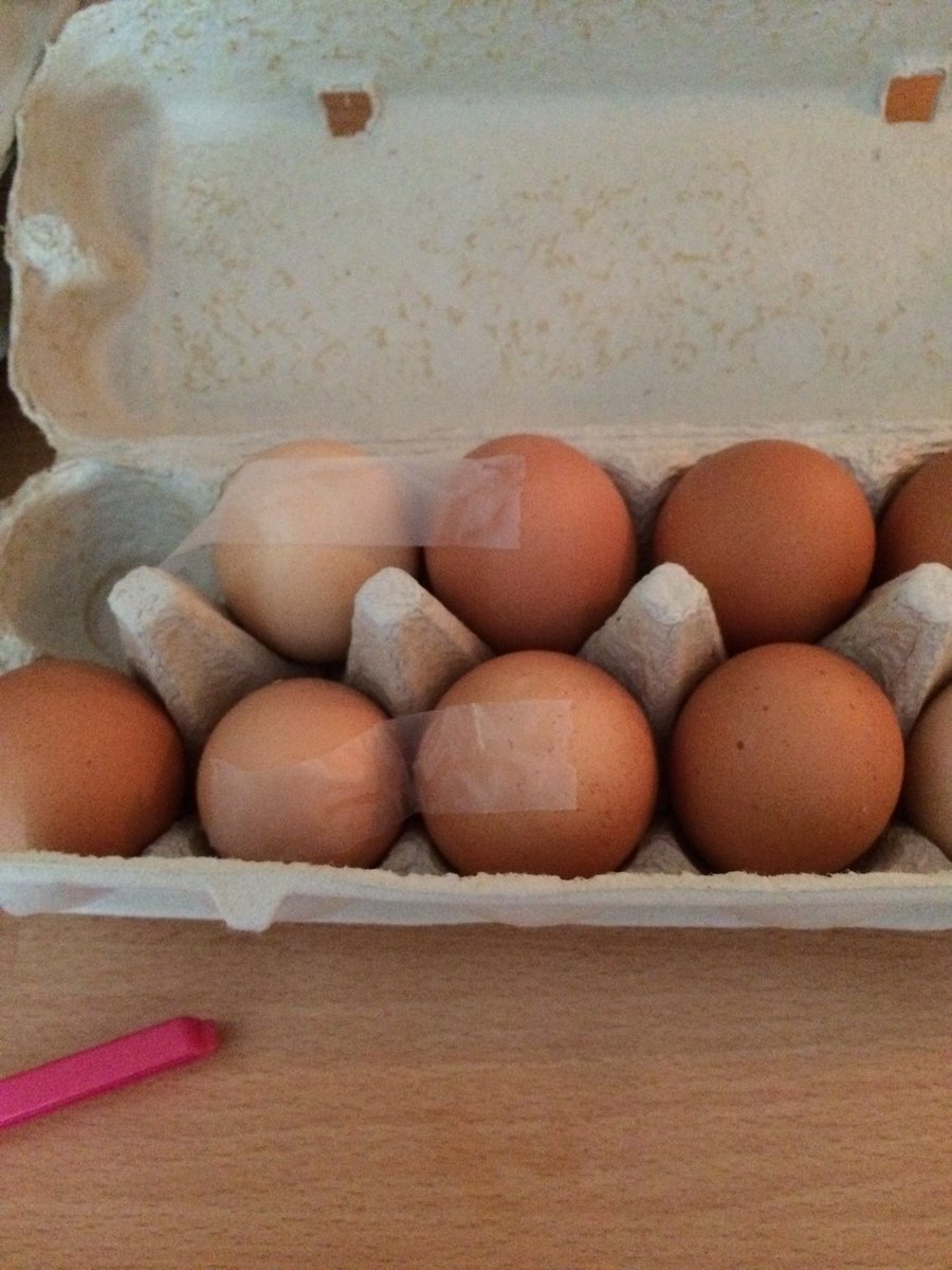 carinabergqvist's tweet photo. Är det en hemlig kod?
Är det hönor av den ovanliga "skiter ägg med tejp" rasen?

#ägg #hönor #värpa #tejp https://t.co/ruGZchvqgQ