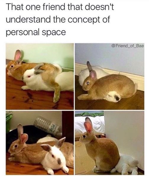 Lҽxιɳ💜 tweet media