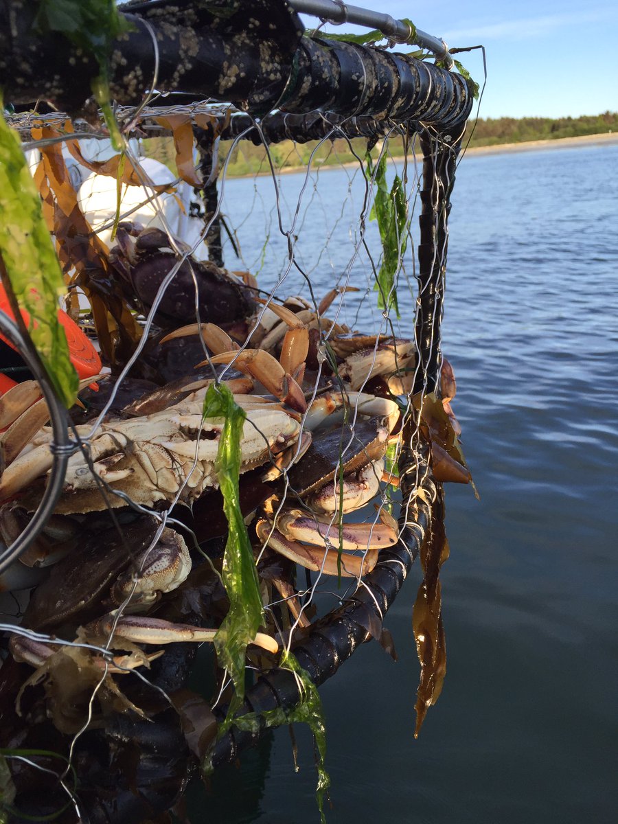 Looking forward to 'Boat to tailgate' 6pm this Saturday <a href="/TrilogyFish/">Trilogy Fish Store</a> do you have your tickets? <a href="/FeastTofino/">FeastTofino</a> online