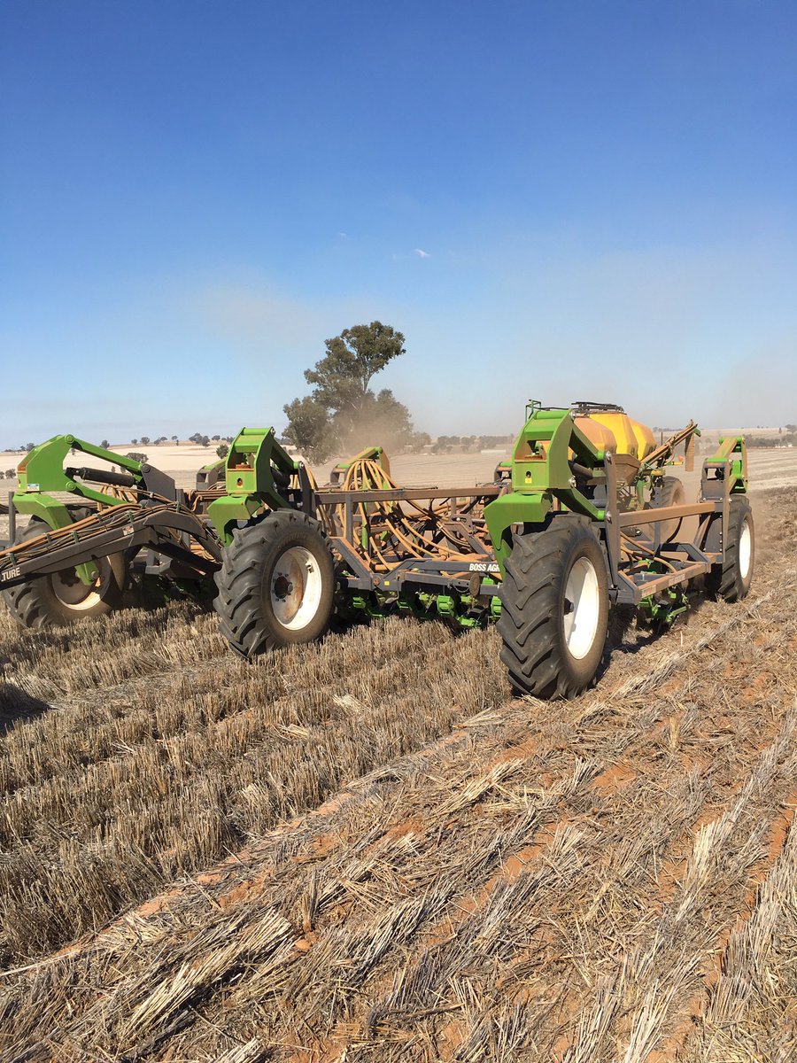 grassrootsag's tweet image. 9m Boss disc on 200mm rows sowing beans with ease into 2yrs of barley &amp;amp; wheat stubble @MckinleyMatt #cropcomp #CTF
