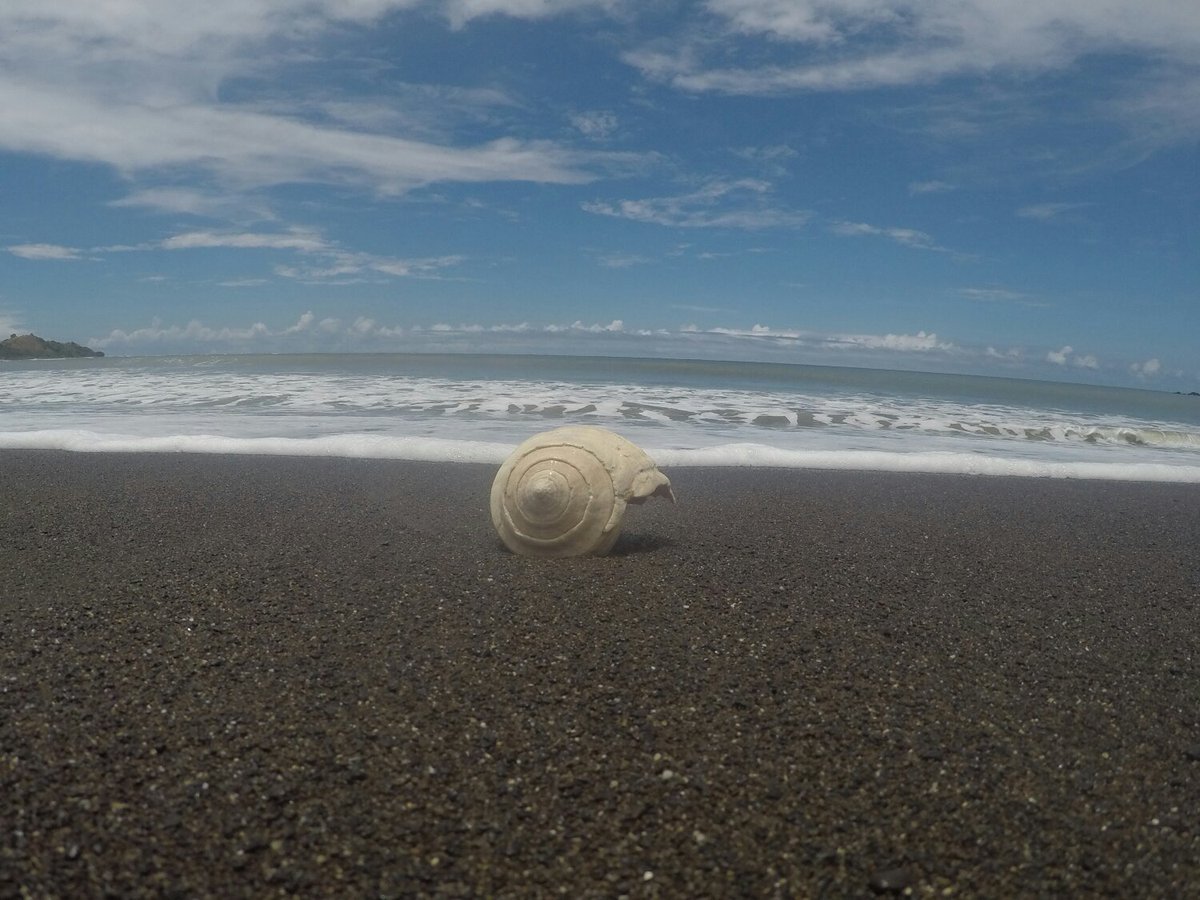 Playa Guánico, Tonosí, #lossantos #Azuerosoyyo #panamapapers #turismo  <a href="/PanamaRTweet/">PanamaRTweet</a>