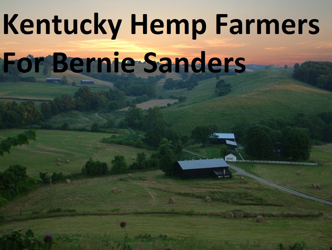 weedthegamebro's tweet photo. Kentucky Hemp Farmers For Bernie Sanders #BernieOrWriteIn https://t.co/kPOAHKzbDB