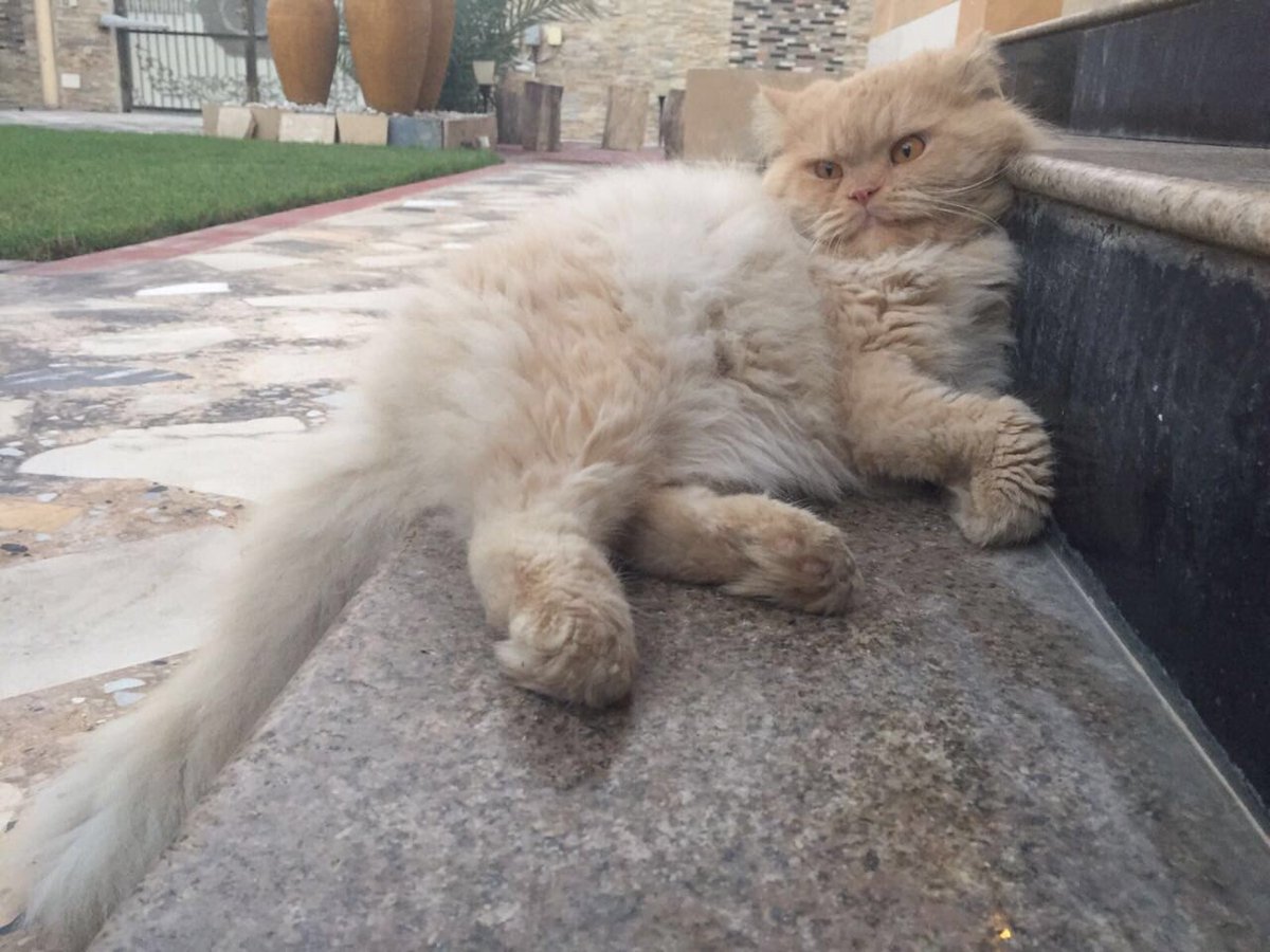 iiiSimba's tweet image. #tb