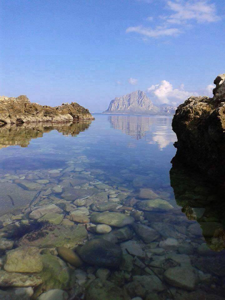 HotelTrapani's tweet photo. Senza #mare siamo a #sanvitolocapo
>> https://t.co/8YEHfXyXFZ <

#sicilia #sicily #trapani #vacanze #turismo #estate https://t.co/9H8R5Emas0