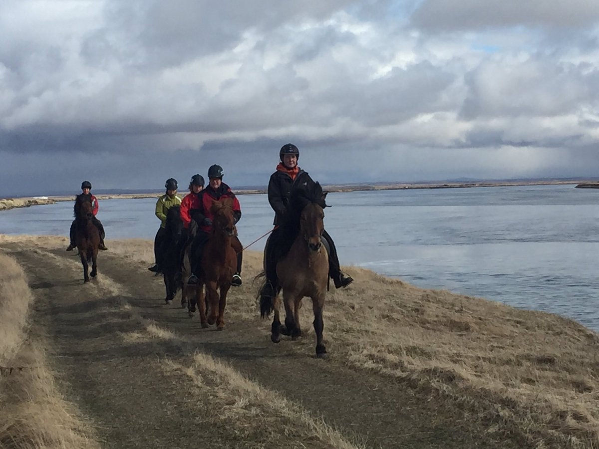 #ridinginiceland #specialweekendriding #iceland #horse #icelandichorse
