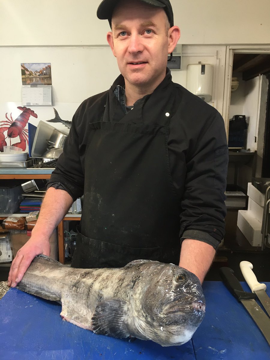 PassionSeafood's tweet photo. Looking a little #Wolfish this morning @Maximusfishing ?#WolfFish https://t.co/hrBsIVdqsz