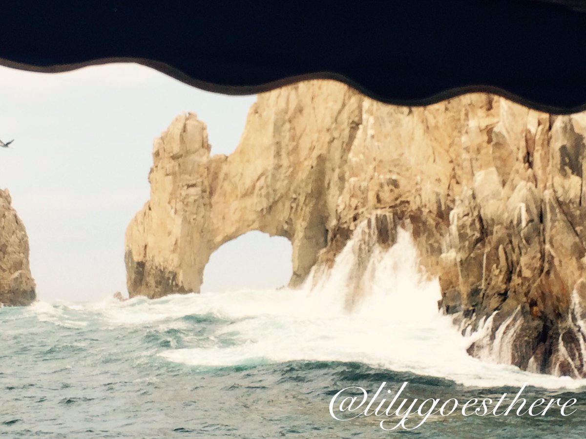 lilygoesthere's tweet photo. In the spirit of #CincoDeMayo, here is a #tbt to when I celebrated my #30thbirthday in #Cabo! #lilygoesthere https://t.co/rUoiLfl1bW