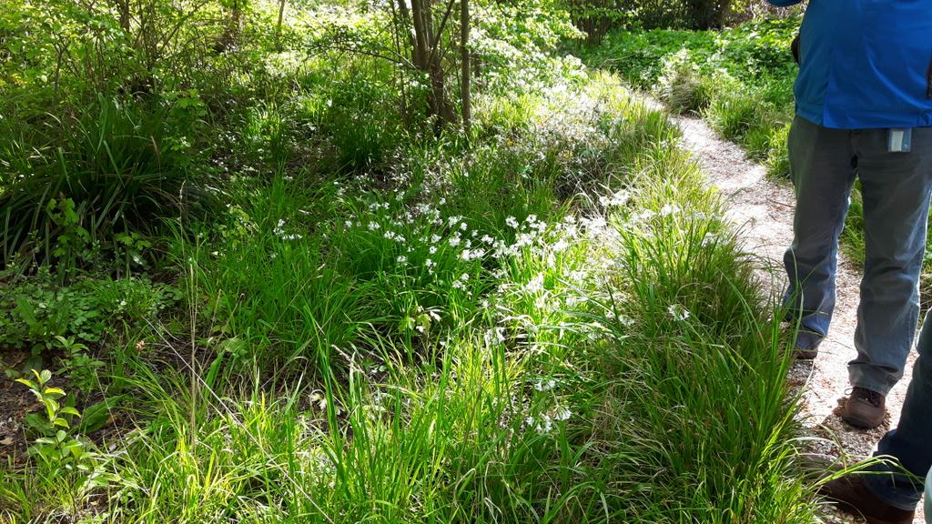 heemtuin Hoofddorp en uitleg van Henk Nijenhuis polderecoloog 3/5/16