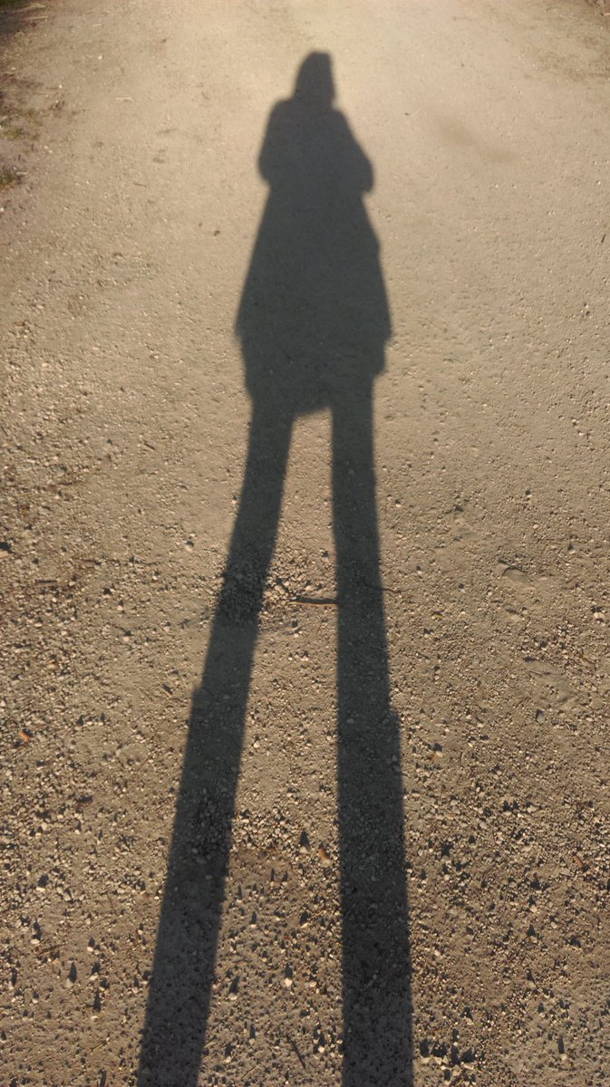 teamtalltweets's tweet image. Casting an even taller shadow 🌞 The sun is shining &amp;amp; we're off to Regensburg for the day! #tallpeopleeverywhere