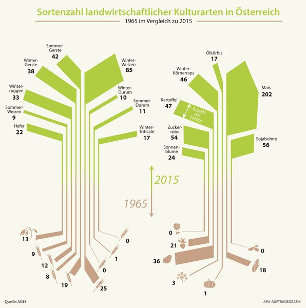 RoliRolihlahla's tweet image. #Biodiversität bei der Sojabohne: 56 #Soja-Sorten gibt's in österreichischer #Sortenliste ages.at/themen/landwir…