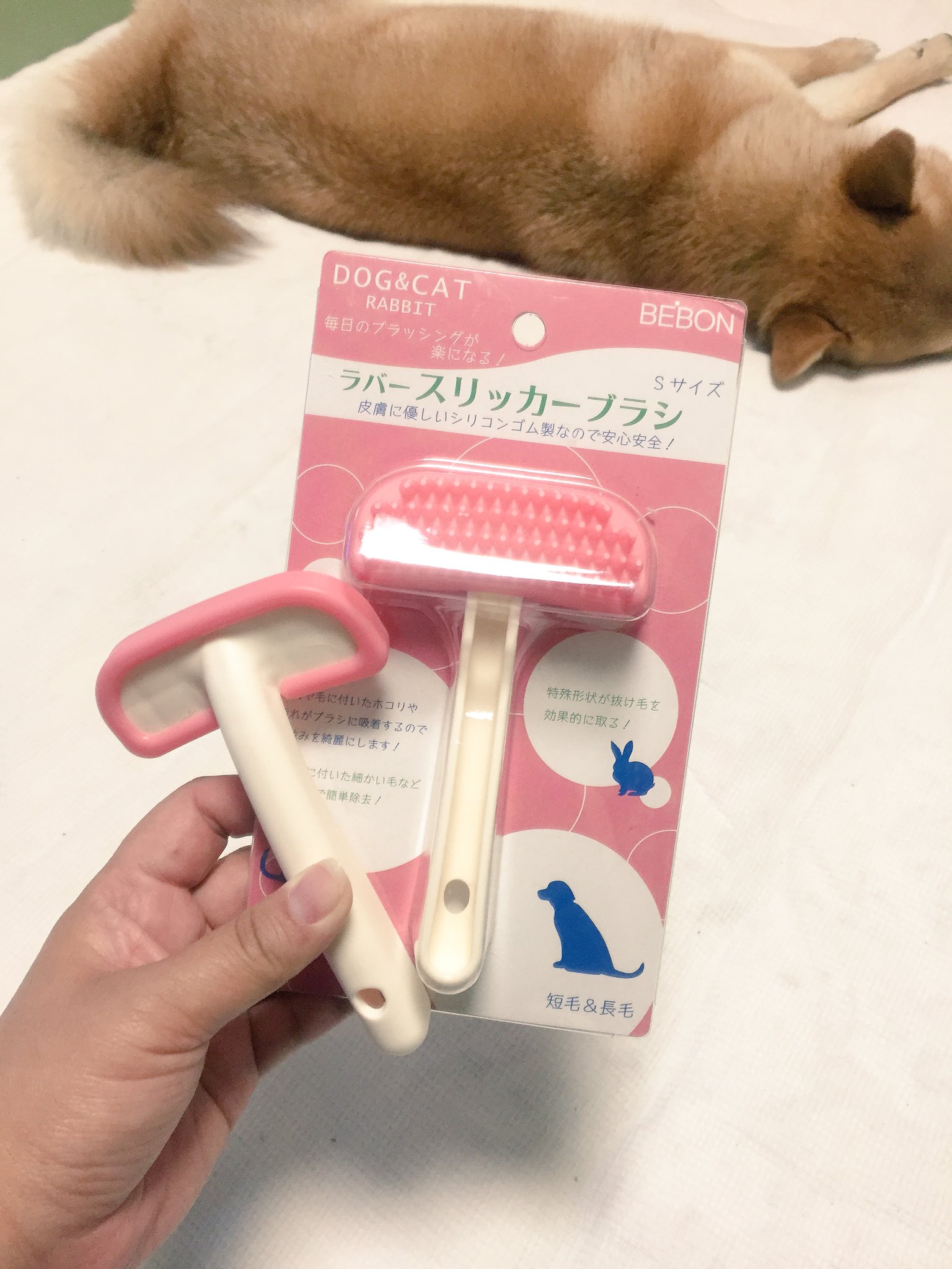 柴犬ロコ ビーボンのラバーブラシは最近使い始めたけど かなりいいかも 皮膚を傷つけないし マッサージにもなるし 他のラバーブラシよりも毛がとれる 何よりブラッシングあまり好きじゃないロコも嫌がらない 擦り減るから2個買い