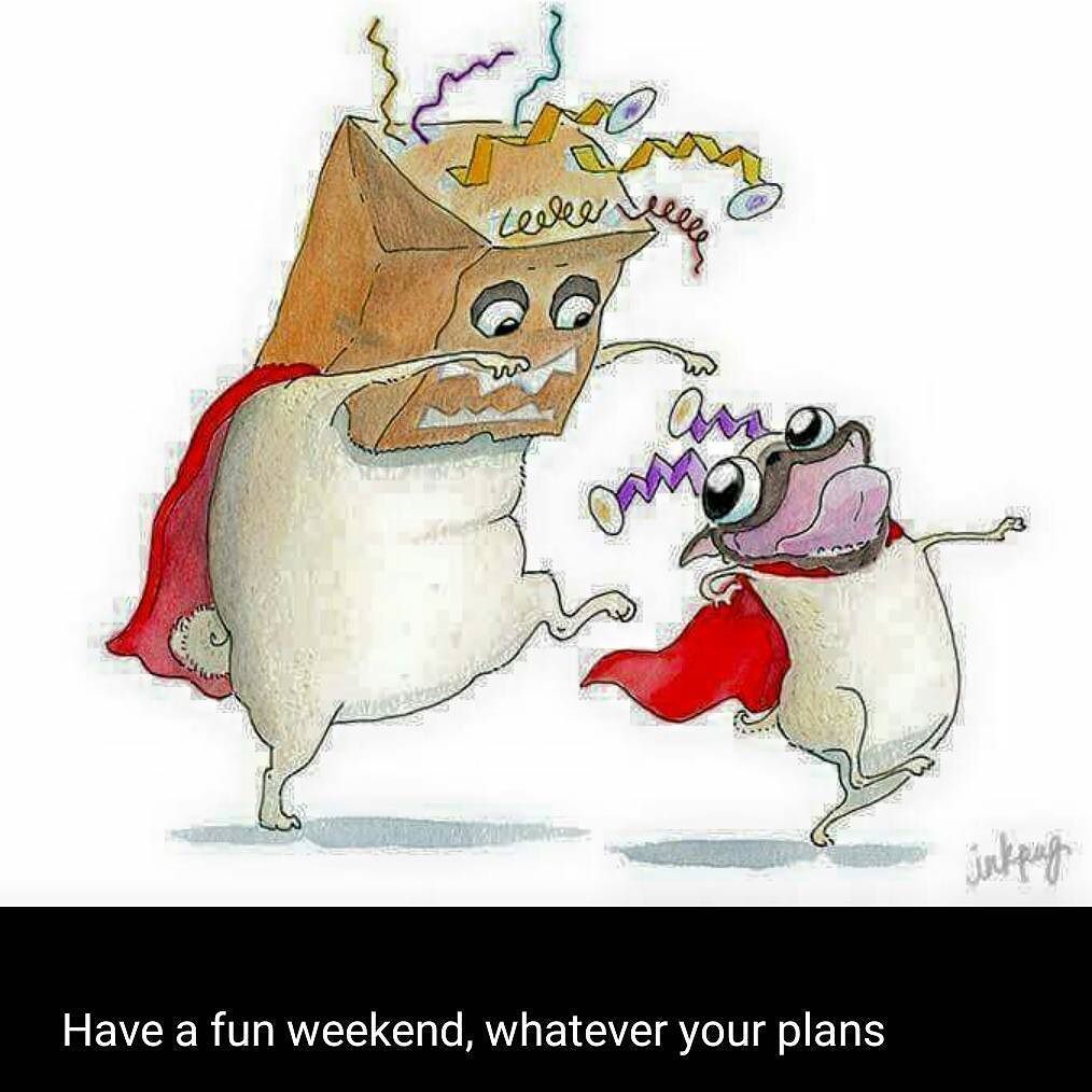 Puglee_Pug's tweet photo. #inkpug always makes me smile!

#Avariel #lilacroom #LOA #lawofattraction #love #feelthelove #lovelife #loa #feelbe… https://t.co/aoJJybmoT0
