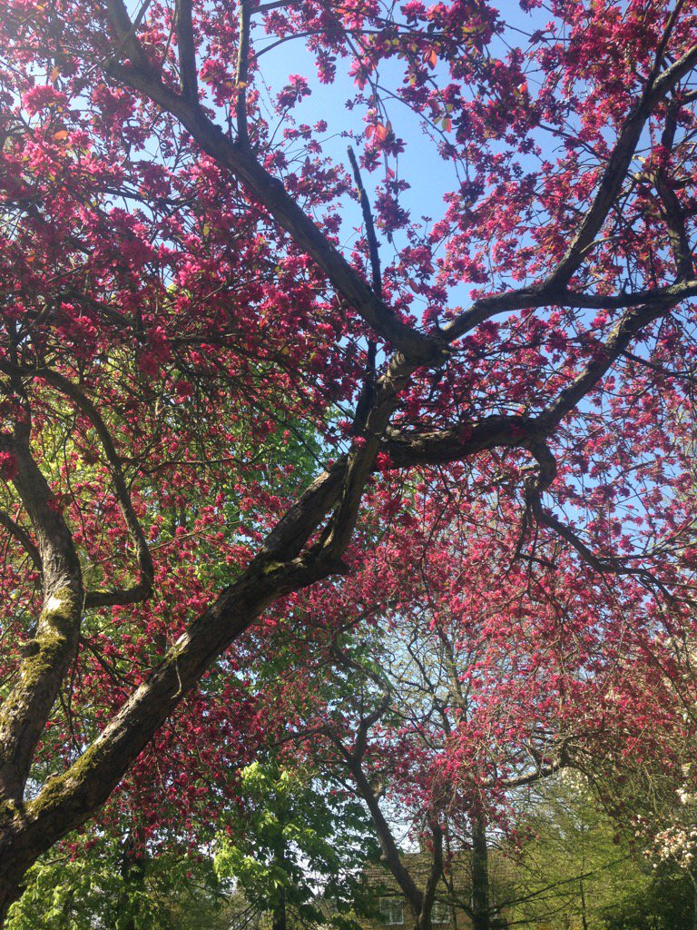 #ff fine fellas <a href="/thebathgardener/">the bath landscape gardener</a> <a href="/Joe_Ferrera/">Joe Ferrera</a> <a href="/TVKev/">Kevin O'Sullivan</a> <a href="/BenWealthy1/">Ben Wealthy</a> <a href="/HombresMexican/">HOMBRES MEXICAN</a> <a href="/sawangosrani/">sawangosrani</a> @JohnRdToVol