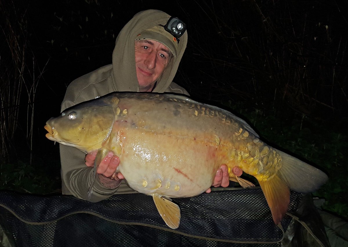 VardisTackle's tweet photo. A nice mirror, 20lb 2oz, taken by Mark Fox on Vardis Tackle. https://t.co/JiPEZT1gK0 https://t.co/XEwiR14b03