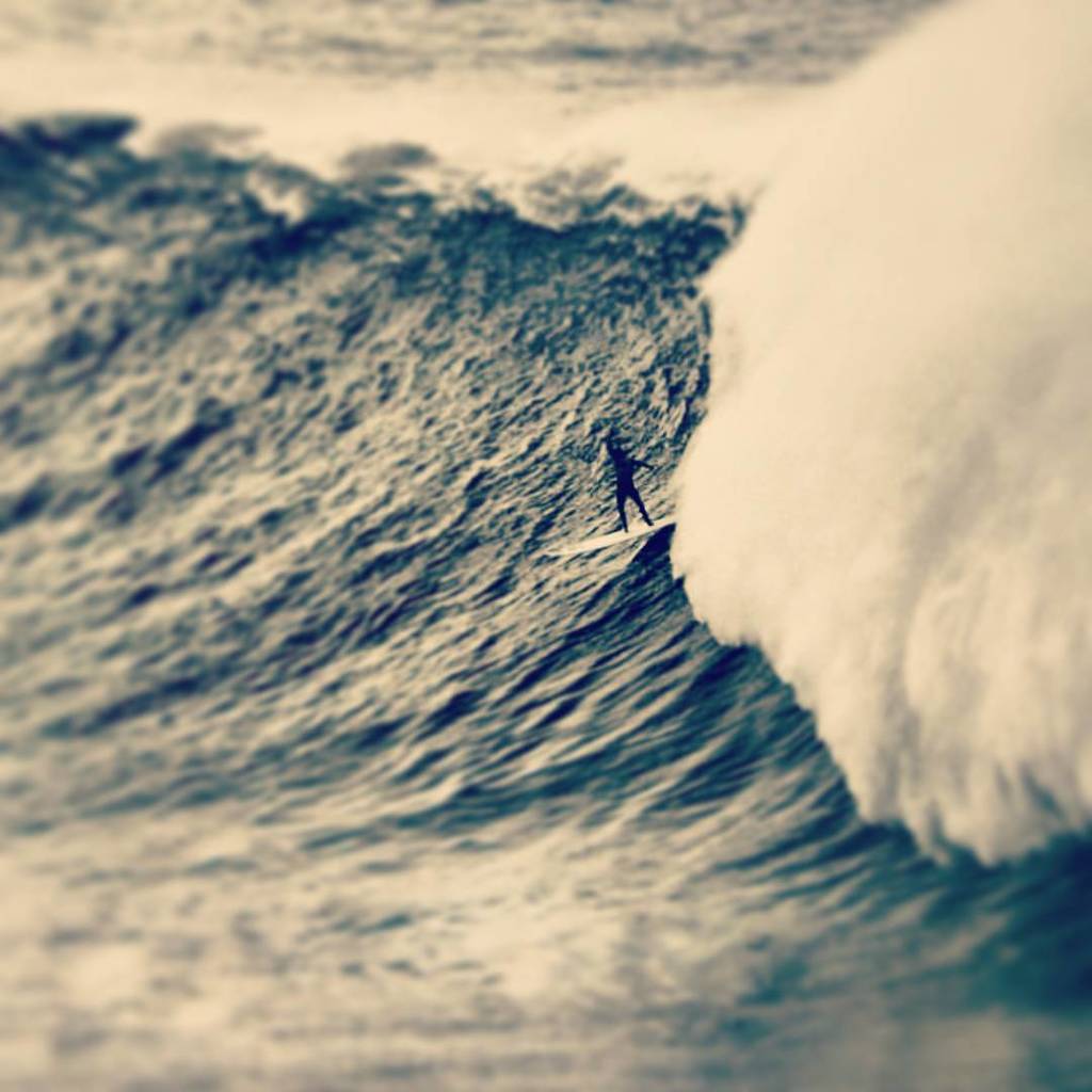 #Run from what’s #comfortable. #Forget #safety. #Live where you #fear to live. #Destroy your reputation. Be #notori…