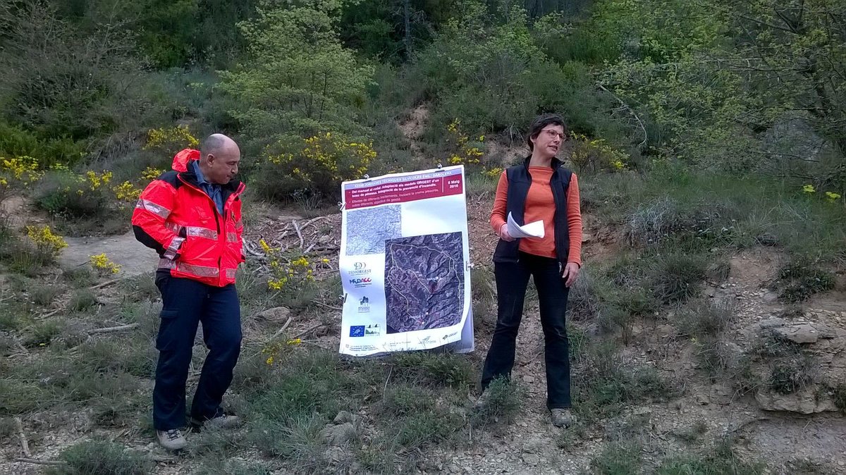 cpforestal's tweet photo. #JTS2016 Jornada tècnica: Gestió de masses de pinassa amb models #ORGEST, a #Llobera @cfcatalunya https://t.co/9ajCqxT5bD