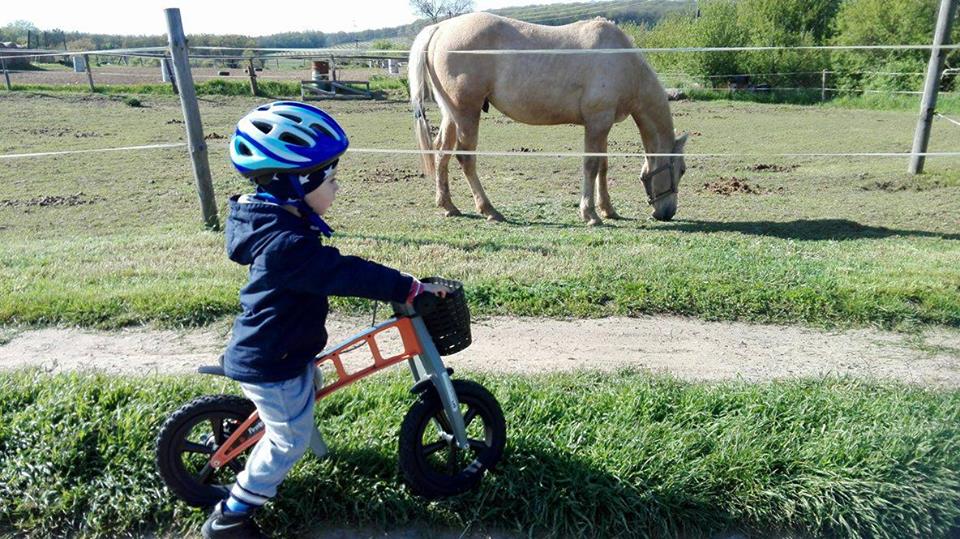FirstBIKEuk tweet picture