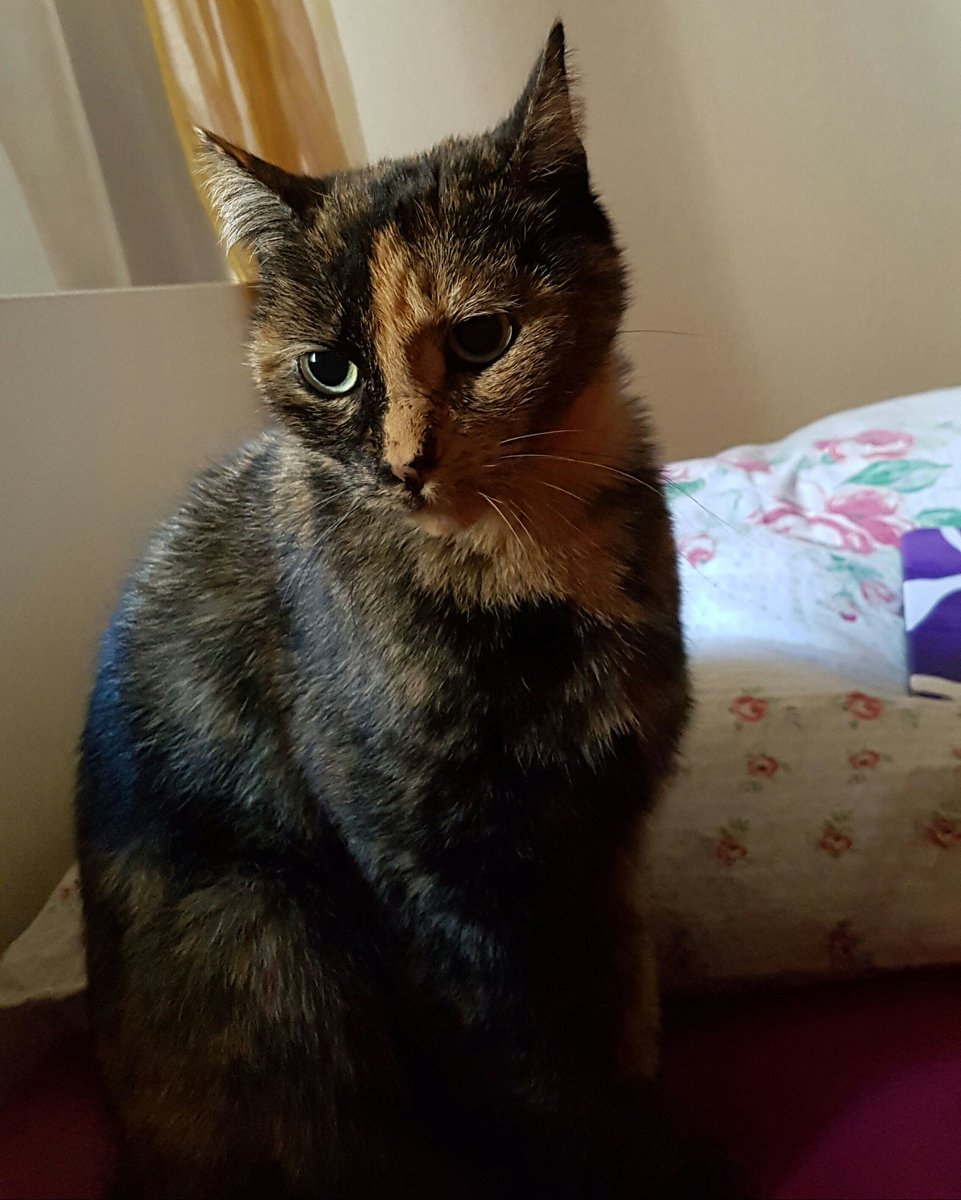 Party mit mirza und diabolo geht weiter....