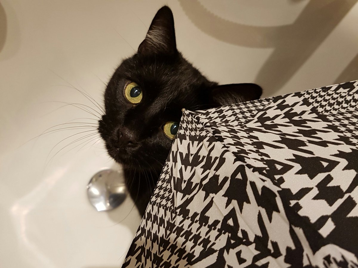 Mein Bruder.... happy miezday