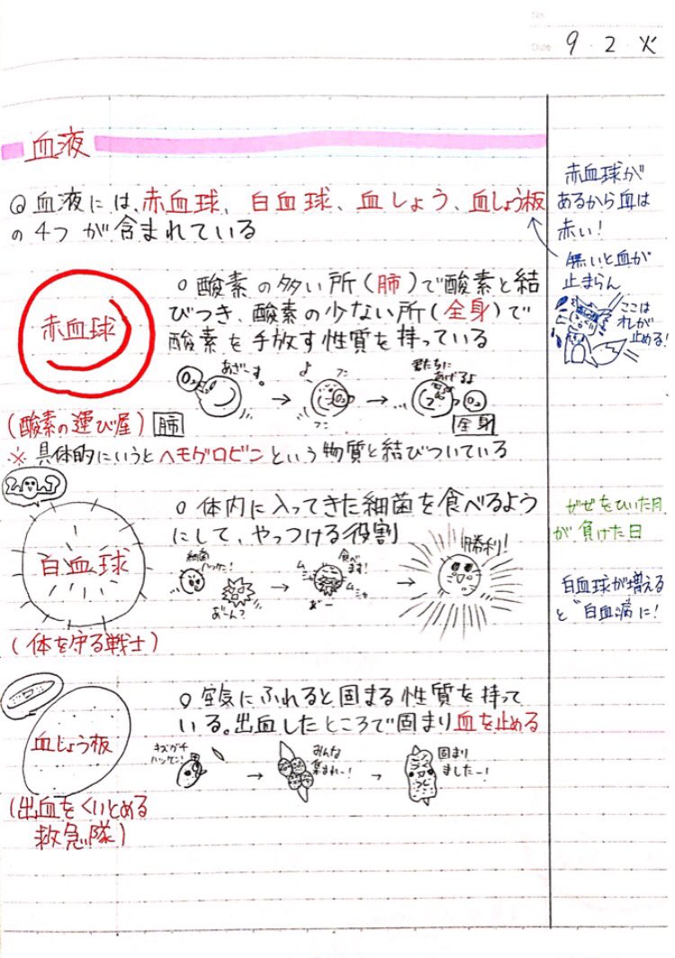 Clearnote 勉強ノートまとめ サシャミさんの 中2理科 動物と生物の変遷 がオススメ この分野を初めて知る人でも キャラクターの動きを見れば直感的に理解できるし忘れにくい T Co J4tiuhmrtx Twitter