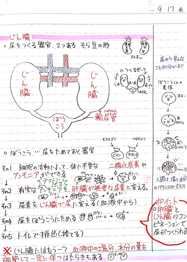 Clearnote 勉強ノートまとめ サシャミさんの 中2理科 動物と生物の変遷 がオススメ この分野を初めて知る人でも キャラクターの動きを見れば直感的に理解できるし忘れにくい T Co J4tiuhmrtx Twitter