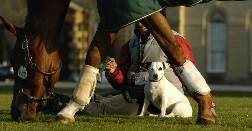 Keep up to date with the latest news from Badminton Horse Trials with the Derby House Post
derbyhouse.co.uk/post/badminton…