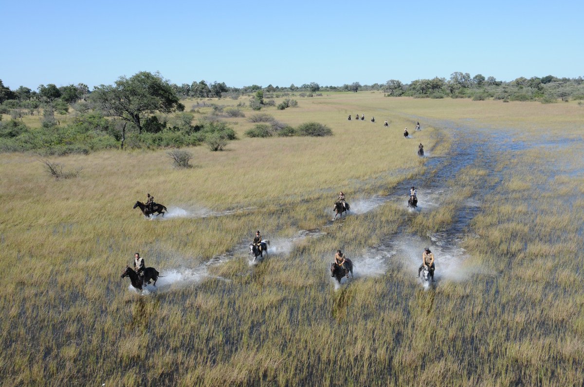One of our favourite #Botswana photos by @macatoo ! #horseback #safari #lostinbots #Okavango #beauty