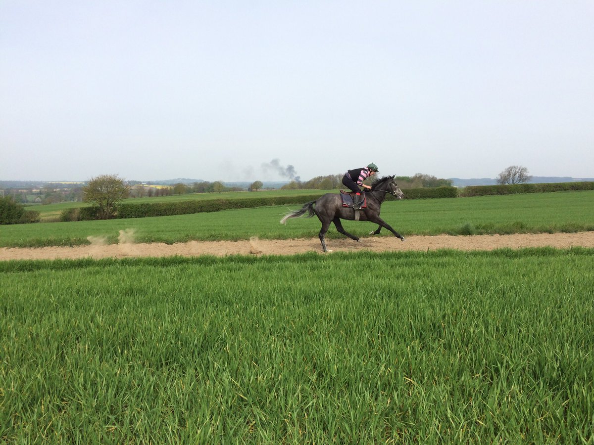 PedroTrotter's tweet photo. #Lackaday out for a run this morning #LookedSharp @ChampCharliesRC looking forward to his next run! #Winner https://t.co/xYOKkfJVgZ