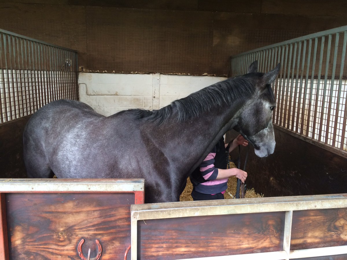 PedroTrotter's tweet photo. Both #Lackaday and #Mountainside out this morning @ChampCharliesRC https://t.co/10G8nokFpd