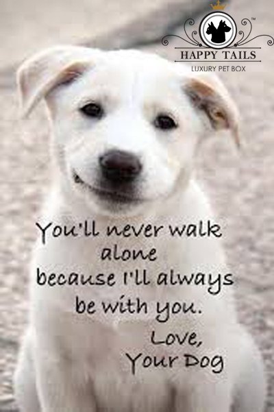Happytailsbox's tweet photo. https://t.co/jl2ko3K2vF