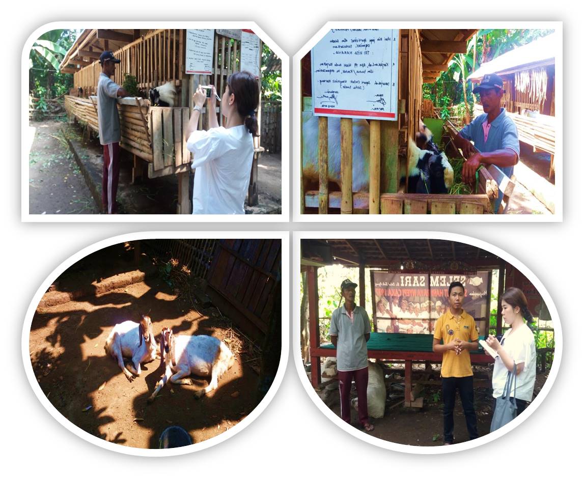 Fivepillarbali's tweet photo. #Socialentrepreneur #Baliprogram #socialinnovationbali #socialinnovatorbali #designthinkingbali #Volunteeringinbali https://t.co/WZq5RPJ1oF