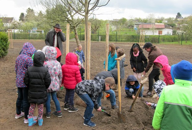 Umweltdezernent Nolda pflanzt #BaumDesJahres mit 1. Klasse aus Fritjof-Nansen-Schule bit.ly/WinterlindeKS (mic) https://t.co/PQX9qCKwfY
