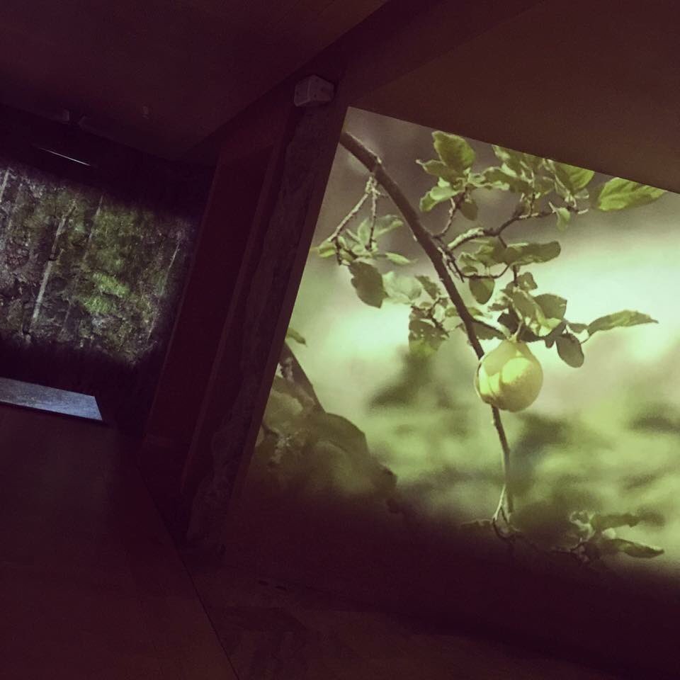 citymuseum_lu's tweet photo. Spring inside #mhvl :-) https://t.co/OIcjjVrpTf