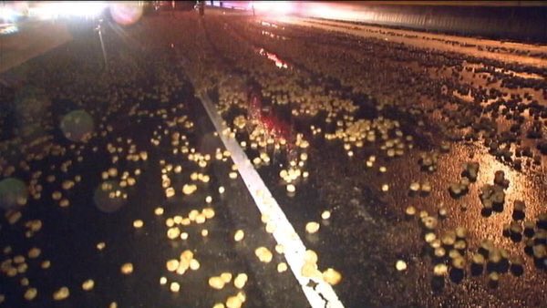OfficialJoelF's tweet photo. Truck spills 50,000 pounds of potatoes onto I-77 in North Carolina. Traffic backed up for miles. https://t.co/f6GcPH1pRR