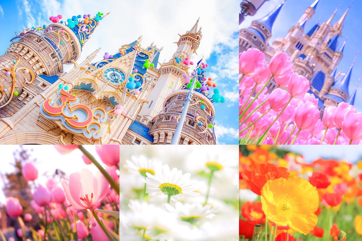 mm_irm's tweet photo. My favorite place☆彡.。

ディズニー好きな方と
仲良くなれたら嬉しいです♡

#ディズニー好きと繋がりたい 
#ディズニー好きによるディズニー好きのためのフォロー祭り 
#写真好きな人と繋がりたい https://t.co/4G76kvNuZz