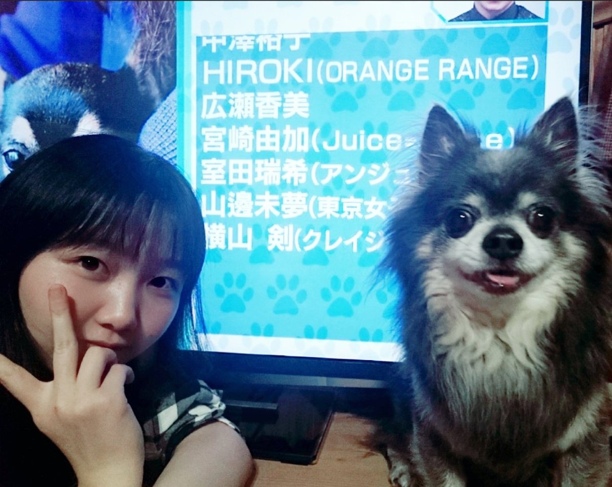 ট ইট র 山邊未夢 東京女子流 Mステ観てたらびっくり アーティストが飼ってる犬 に名前が出ました うれしい チワワのぶるむです ほんとうに可愛いんだよ Tgsjp Mステ チワワ ブルム 山邊未夢 ট ইট র 山邊未夢 東京女子流 Mステ観てたらびっくり アーティストが飼ってる犬 に名前が出ました うれしい チワワのぶるむです ほんとうに可愛いんだよ Tgsjp Mステ チワワ ブルム 山邊未夢