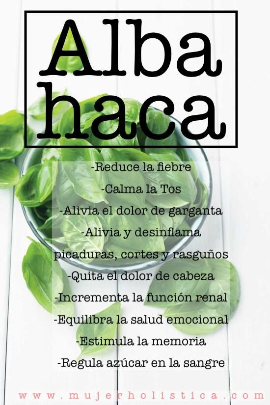 Keydocec's tweet image. La abahaca tiene muchos beneficios medicinales, es bueno tenerlo en cuenta en nuestra alimentación. #BuenViernes