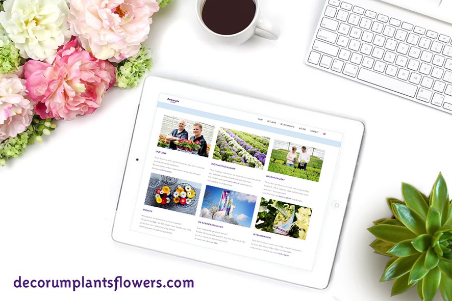 Hoera, onze nieuwe website is live! Neem een kijkje: decorumplantsflowers.com #trots