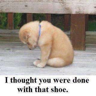 Just Justin (@justjustinzz) on Twitter photo 